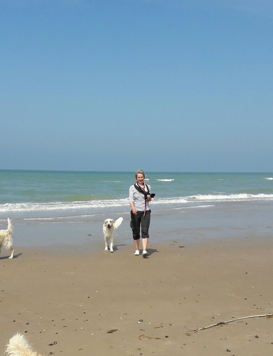 bildergalerie-daenemark-2017