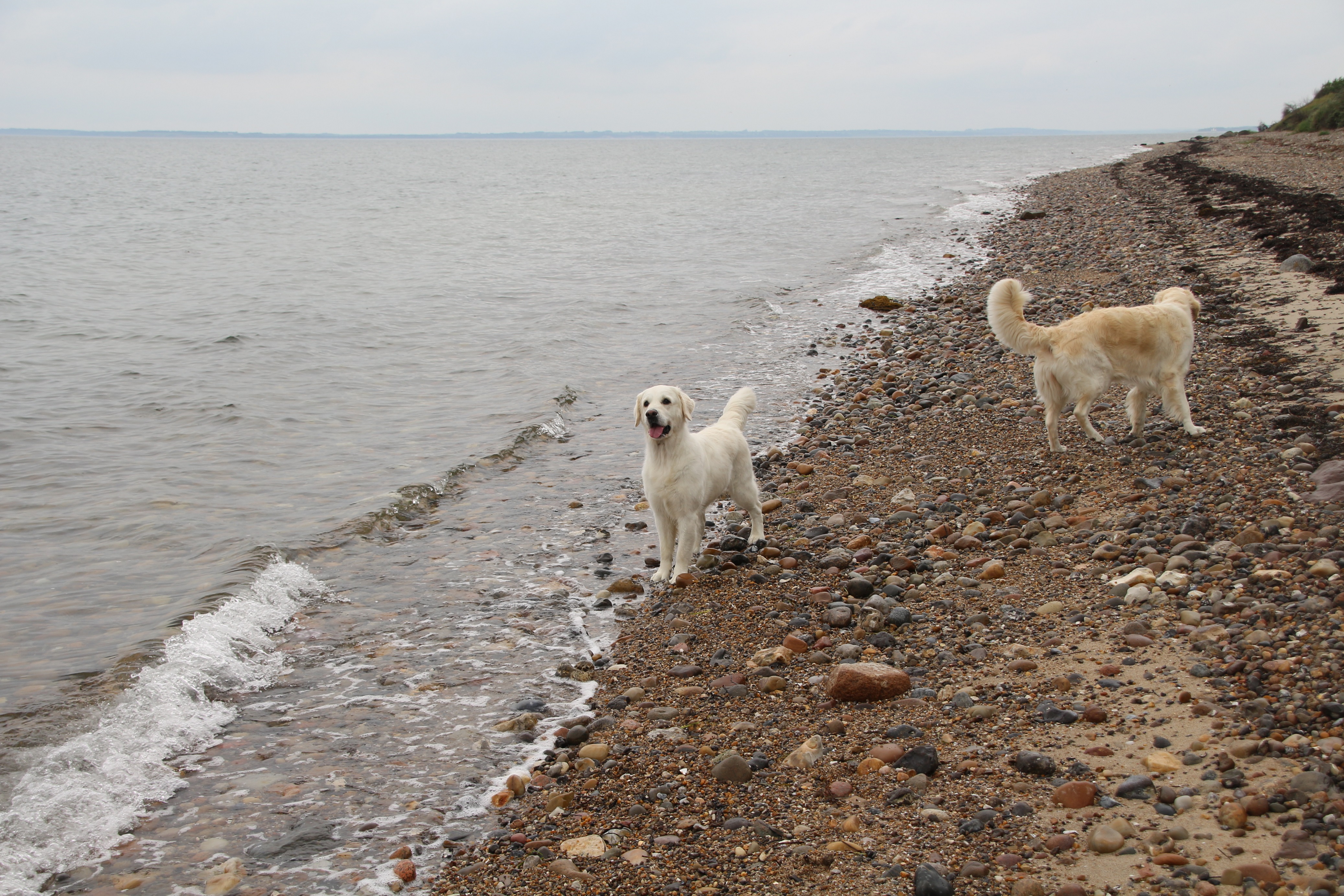 bildergalerie-daenemark-2017