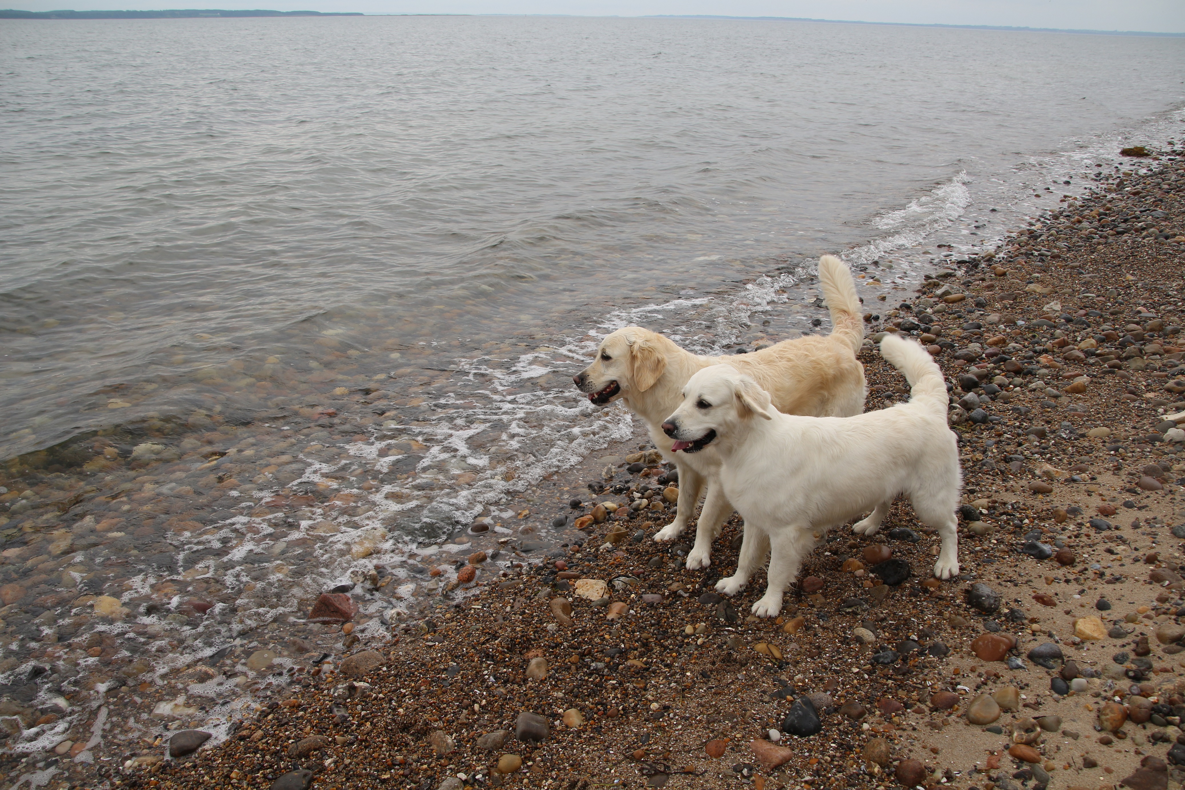 bildergalerie-daenemark-2017