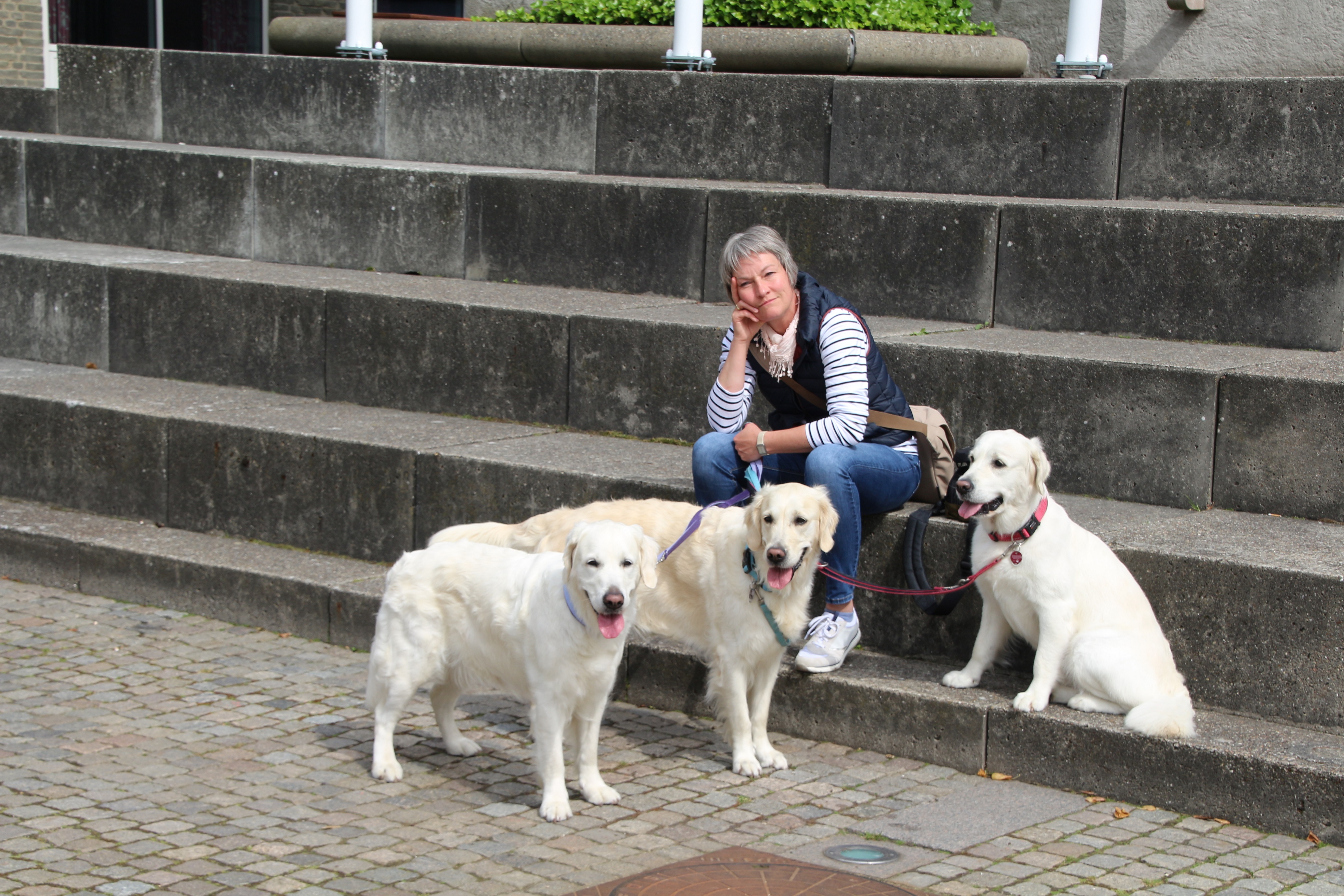 bildergalerie-daenemark-2017