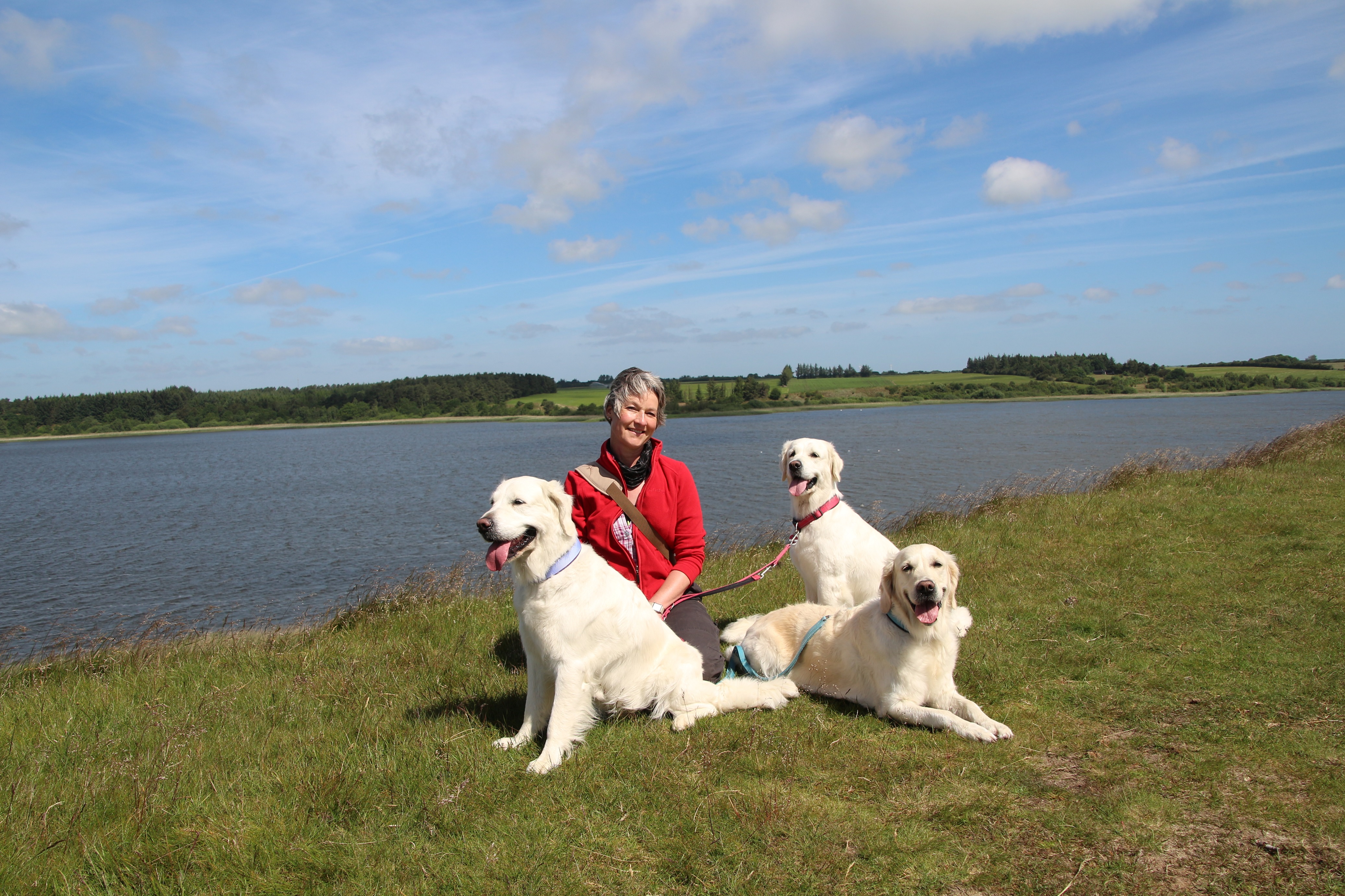 bildergalerie-daenemark-2017