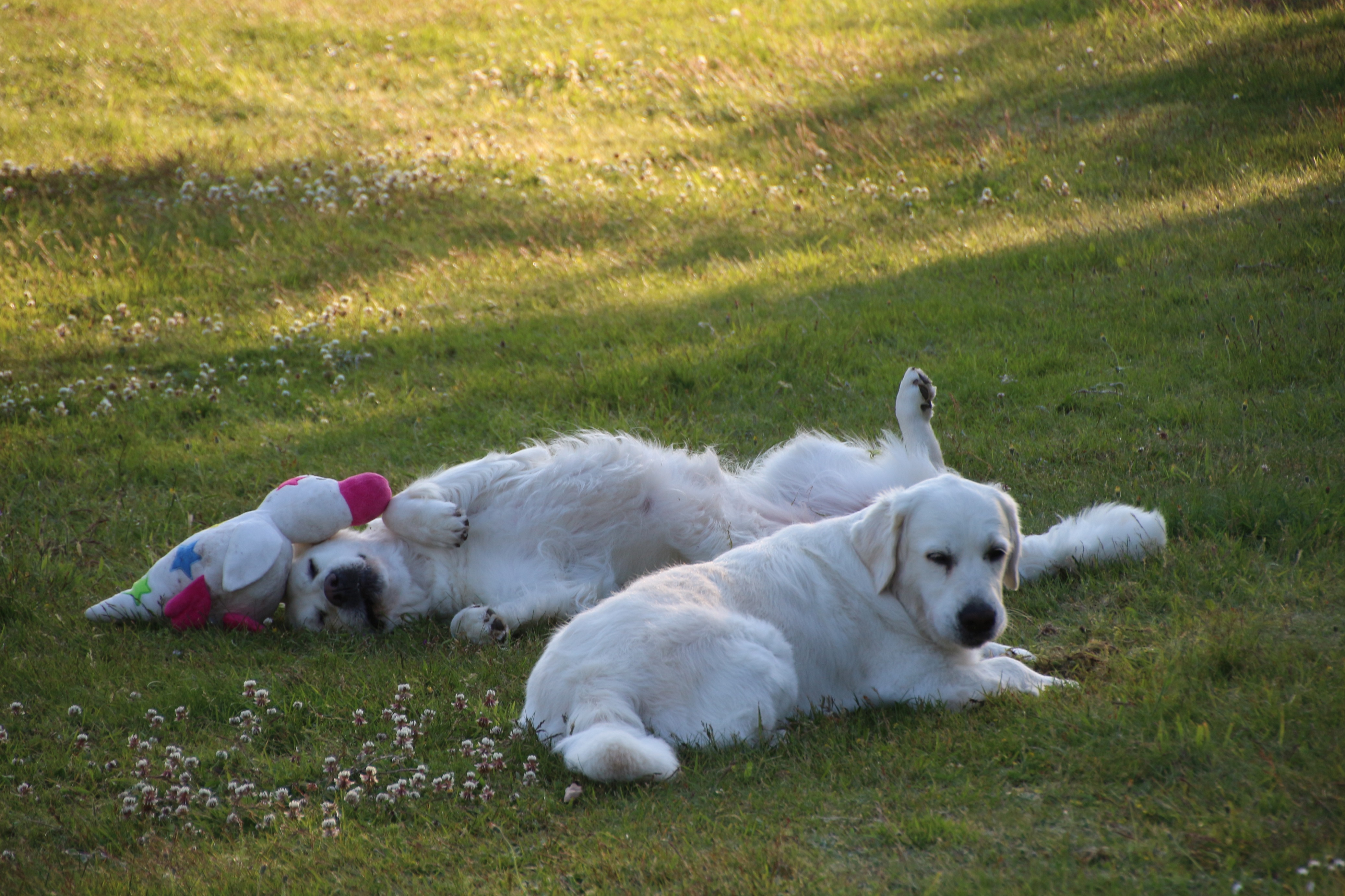 bildergalerie-daenemark-2017