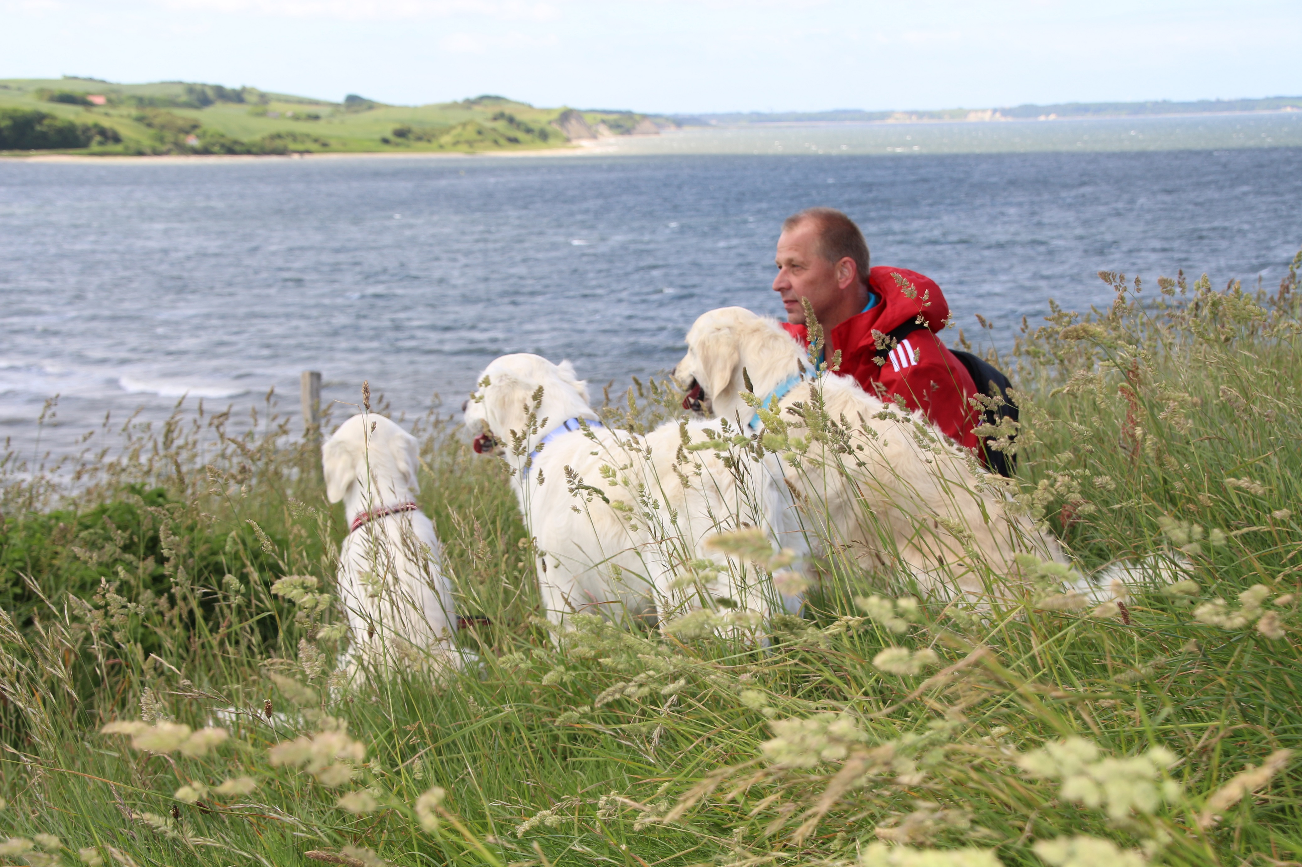 bildergalerie-daenemark-2017