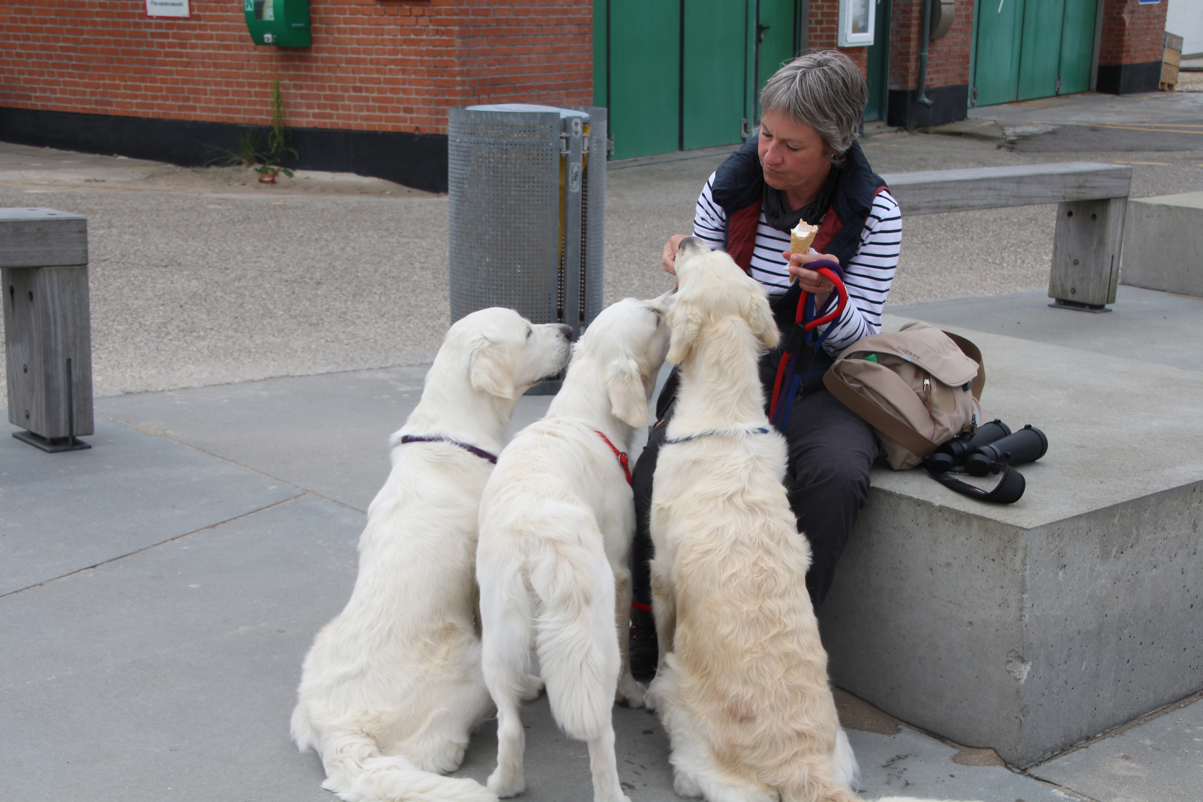 bildergalerie-daenemark-2017